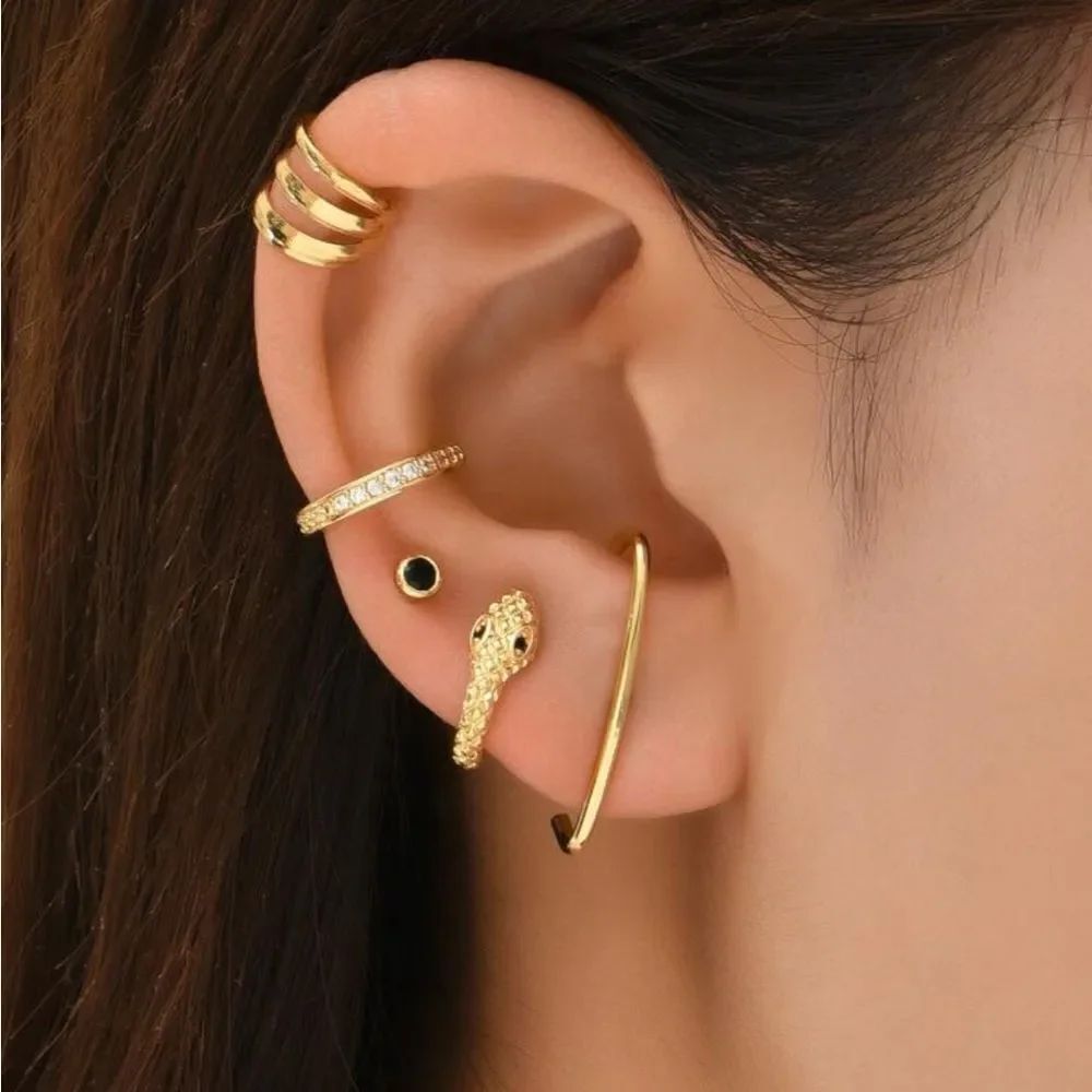Snake Earrings Set #2137